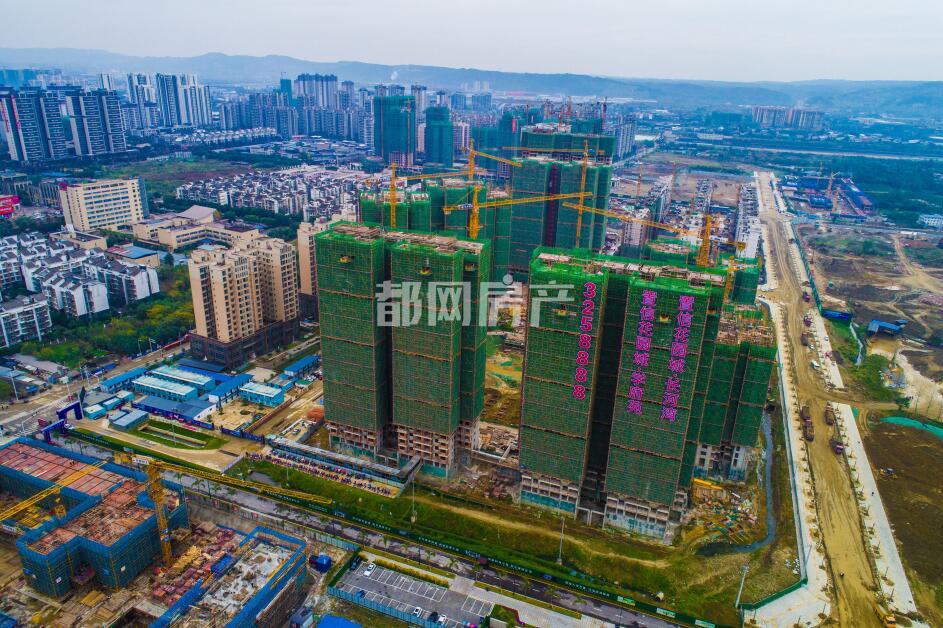 置信花园城·学府苑实景图